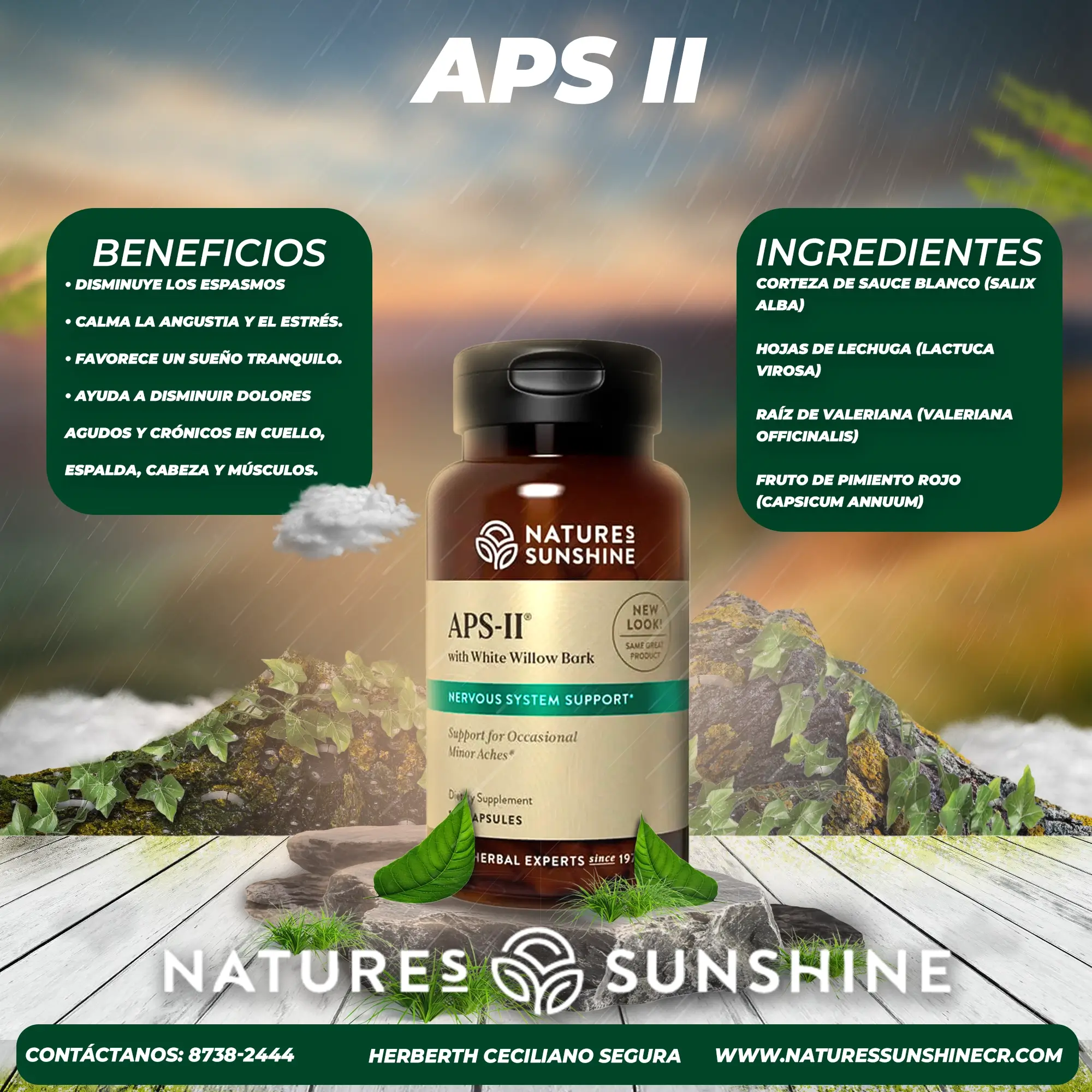 APS II