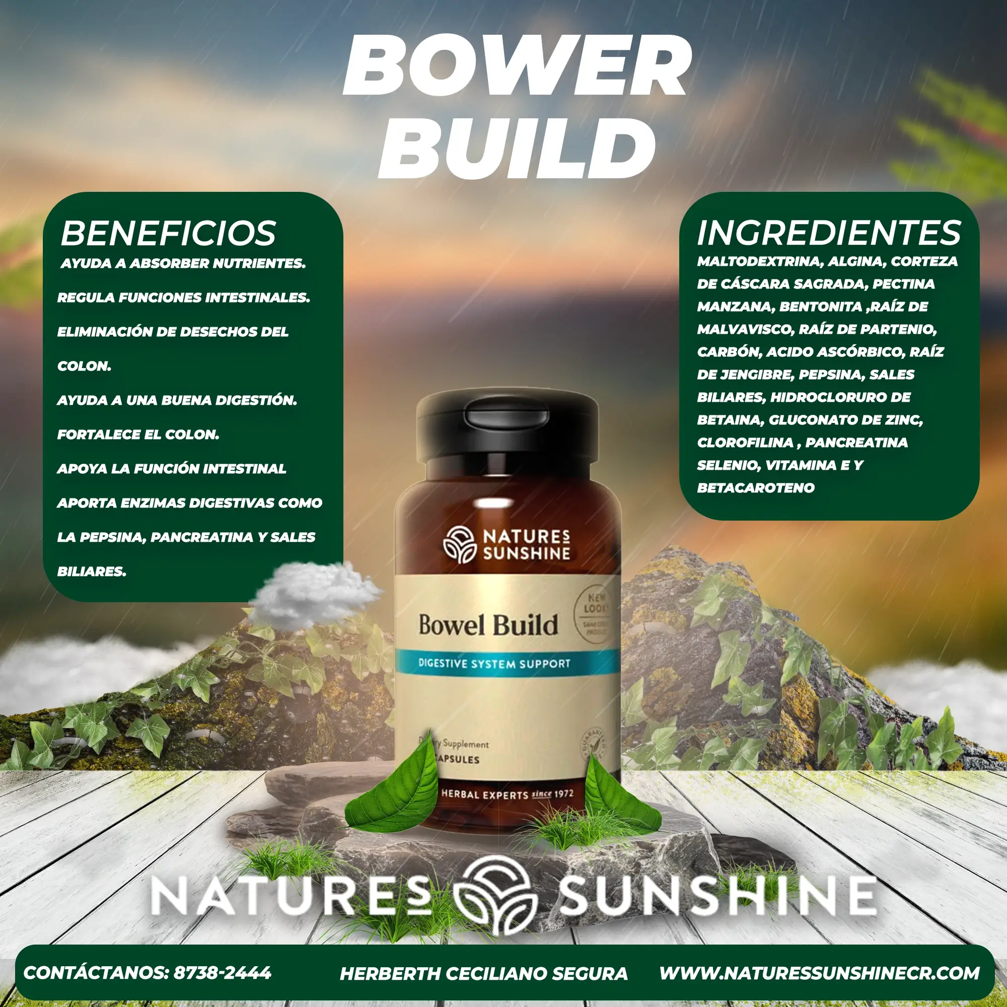 Bowel Build