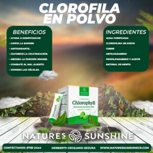 clorofila en polvo