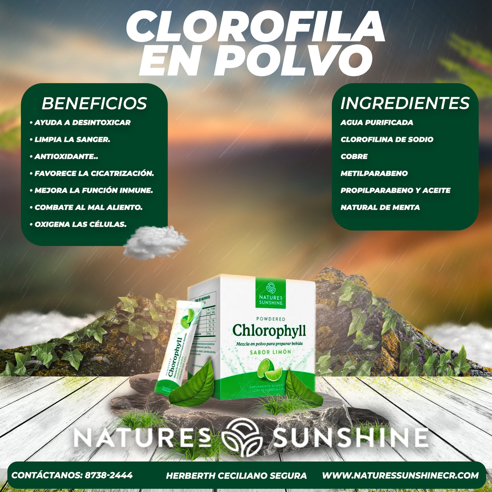 clorofila en polvo