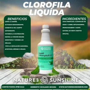 clorofila líquida