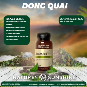 dong quai