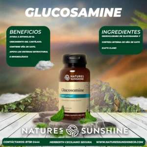 glucosamina