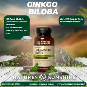 ginkgo biloba