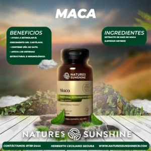 maca