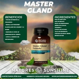master gland