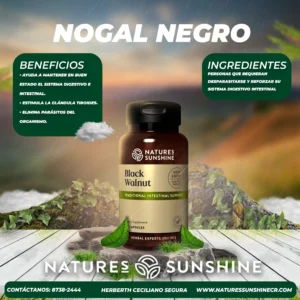 nogal negro