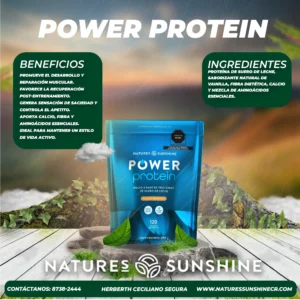 power protein natures sunshine