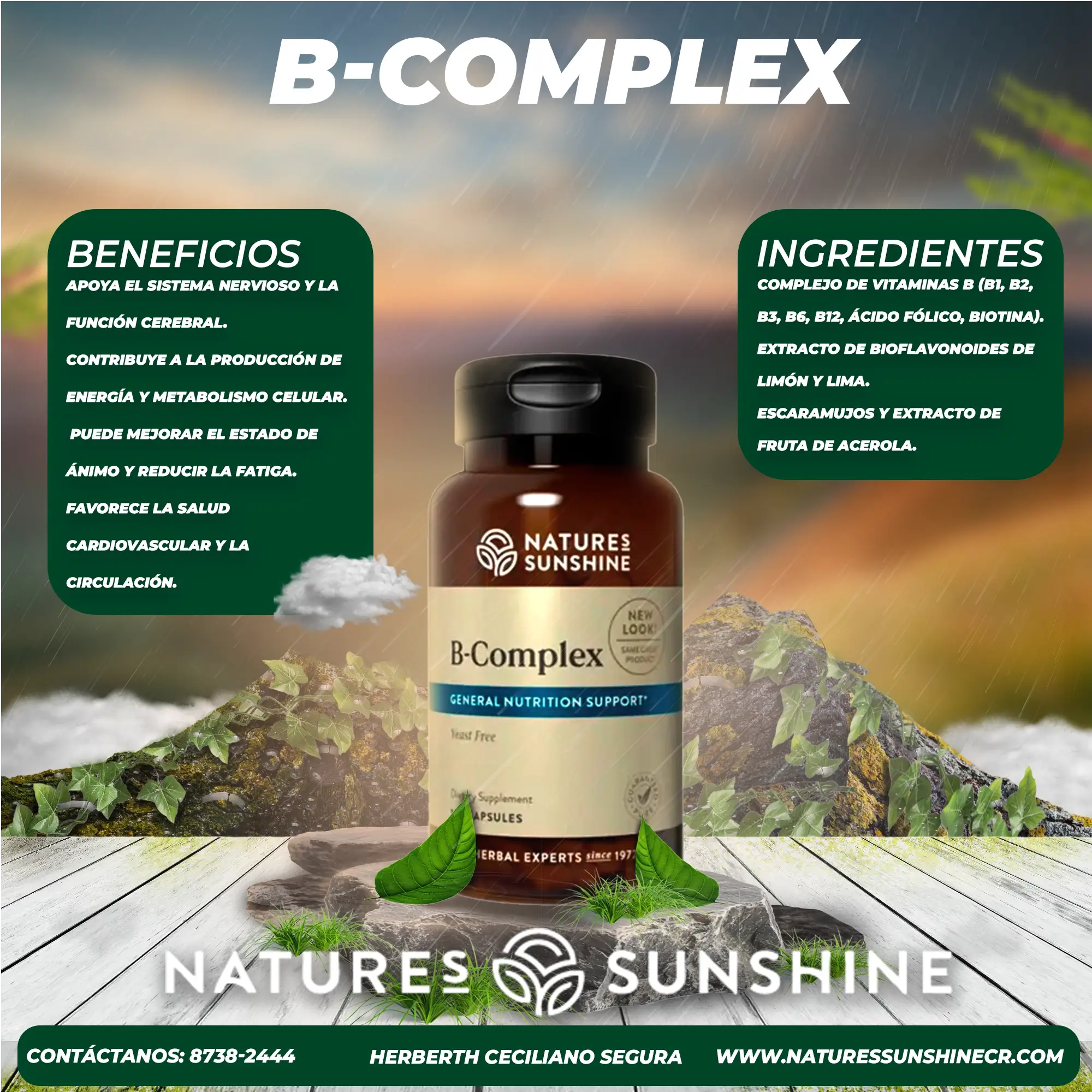 complejo B